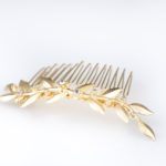 מסרקיית עלים ליפ - אבנים