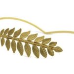 קשת הפוכה - ענף