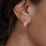 DSC00627 copy 2עכ 1