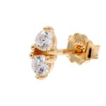 PHOTO 2023 09 11 06 01 45 (3)