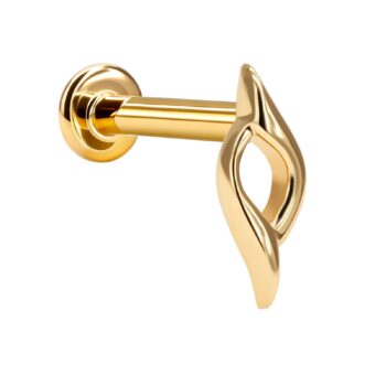 PHOTO 2026 02 11 09 27 19 (4)