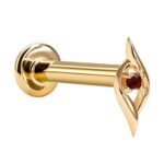 PHOTO 2026 02 11 09 27 20 (1)