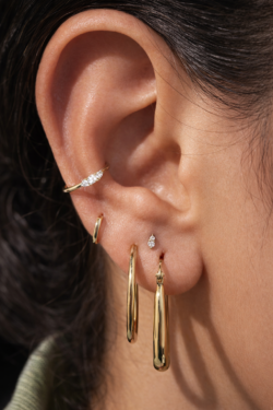 3B2ADEFC 38E2 4F54 8BE8 38F3848090F1