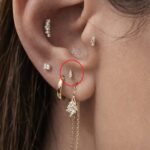 DC5509B3 C970 43D4 9C9B 43DB3D25B9D5